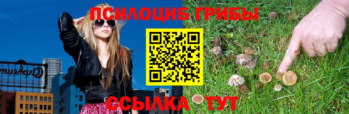 Галлюциногенные грибы ЛСД  Галлюциногенные грибы Cubensis  Вход с VPN  Узловая 